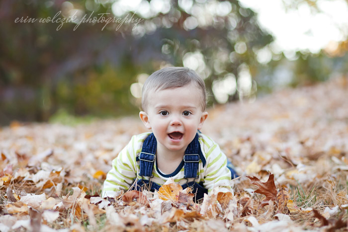 playing in the leaves . one-year-old birthday photography ~ westborough, ma