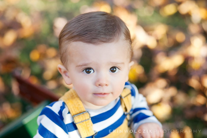 gorgeous eyes . one-year-old fall photographer ~ westborough, ma