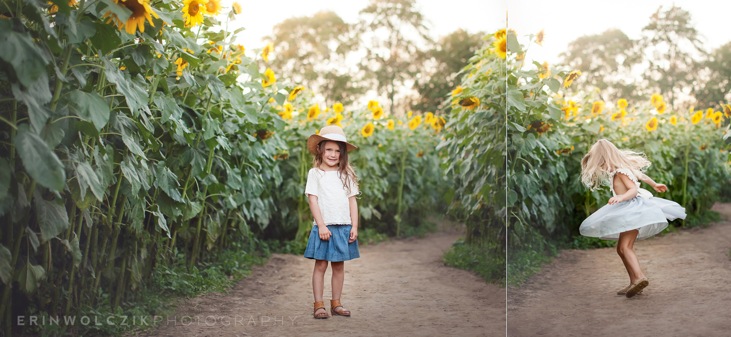 sunflower field at sunset . child photographer . new england