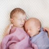 sneak peek . twin newborn photographer . dedham, ma