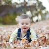 sneak peek . one-year-old mr l . westborough, ma