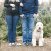 sneak peek . maternity photographer . southborough, ma