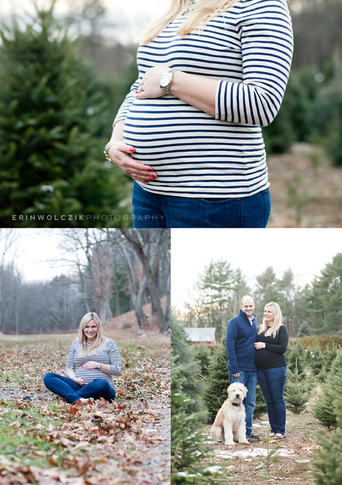 expecting mama at tree farm . winter maternity photographer ~ northborough, ma
