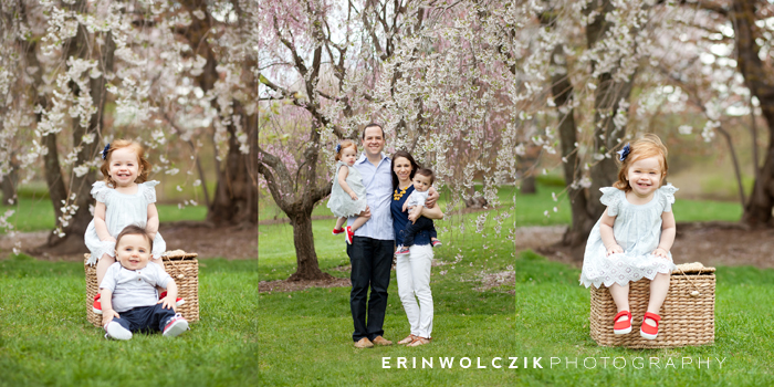 spring blooms . arnold arboretum family photographer ~ boston, ma