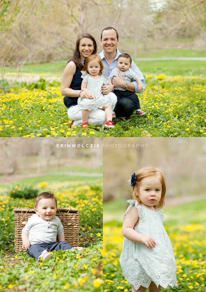 spring blooms . arnold arboretum family photographer ~ boston, ma