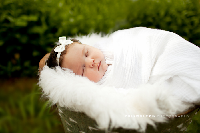 newborn girl in bucket photos ~ Londonderry, NH