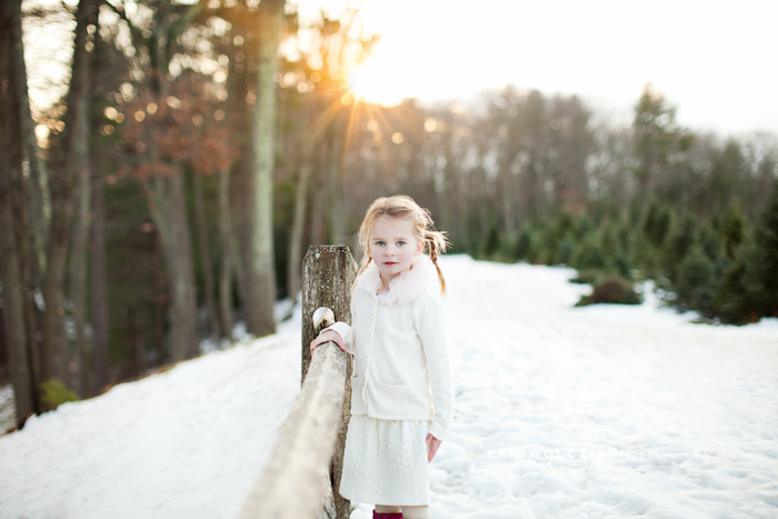 3-year-old girl at Christmas Tree Farm ~ child holiday photos, Northborough, MA