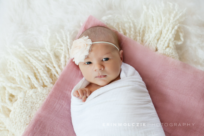 sweet baby girl . newborn photographer . shrewsbury, ma