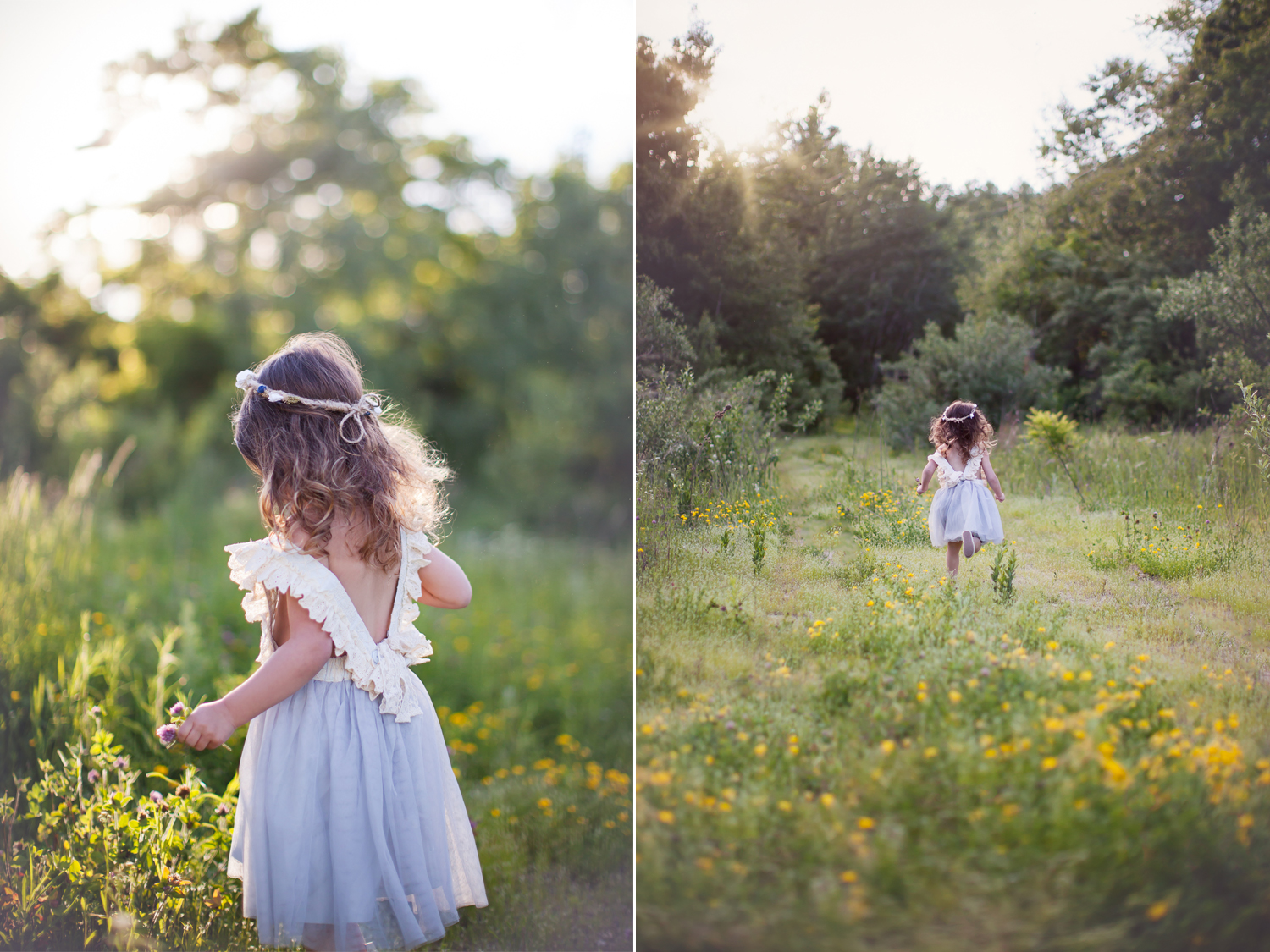 among the wildflowers . 3-year-old-photographer . westborough, ma
