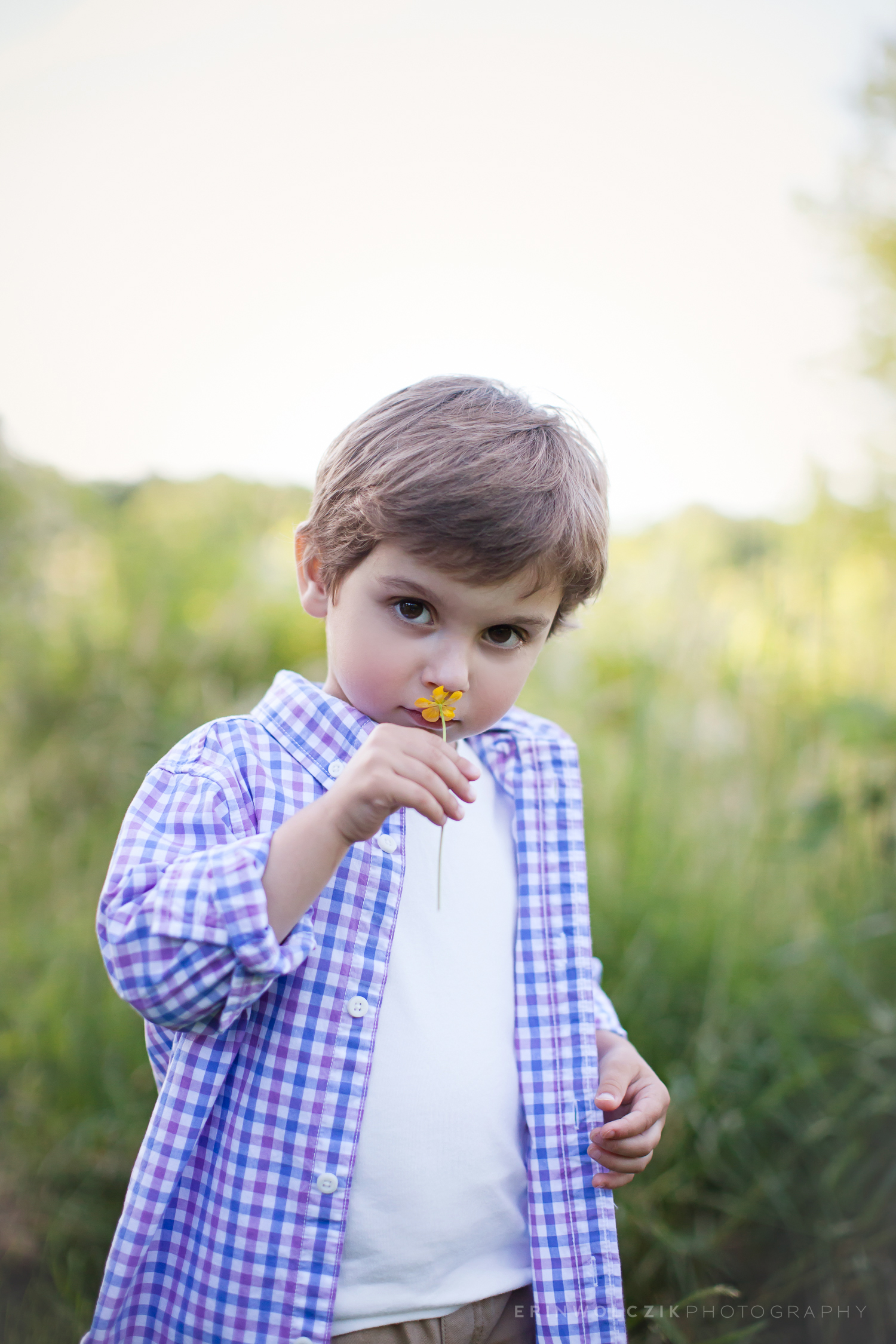 three years old . child photographer . framingham, ma