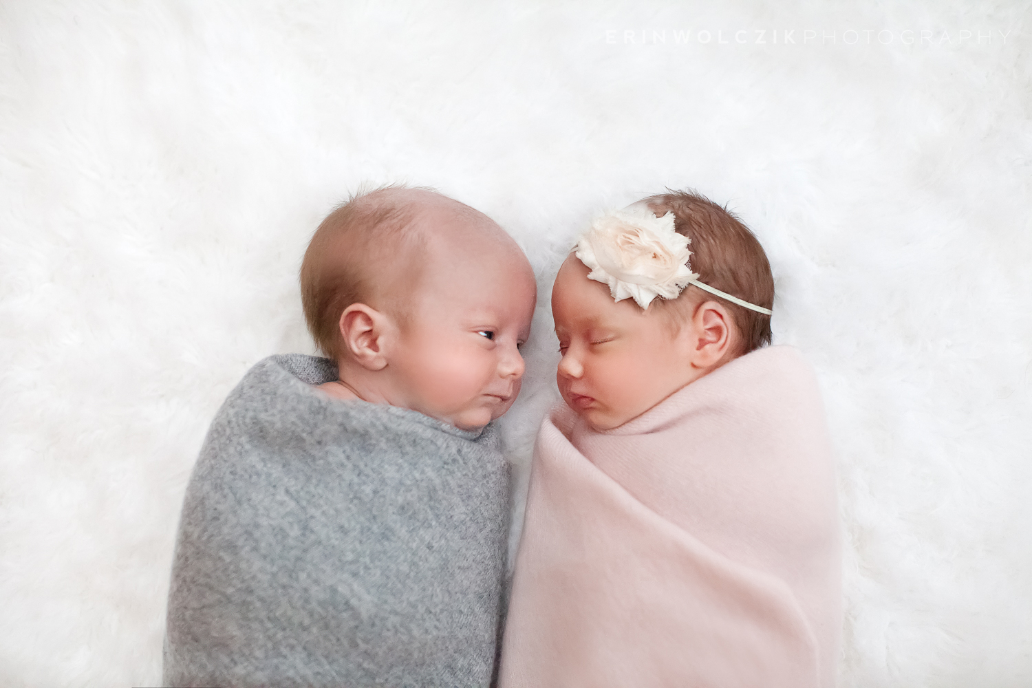 twice blessed . newborn twin photographer . southborough, ma
