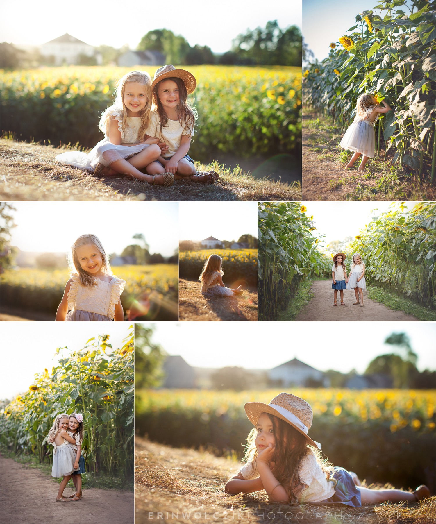 sunflower field at sunset . child photographer . new england