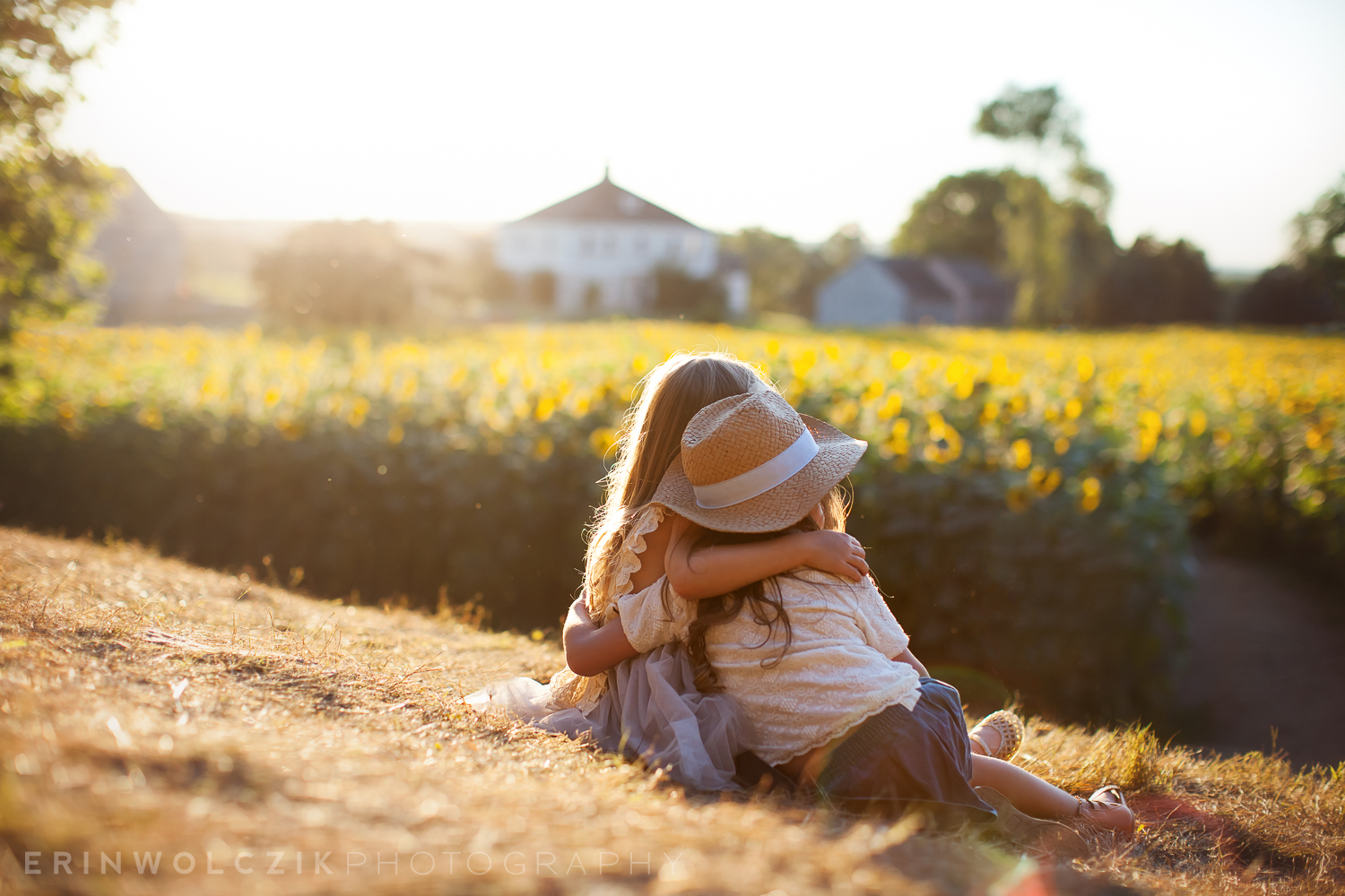 sunflower field at sunset . child photographer . new england