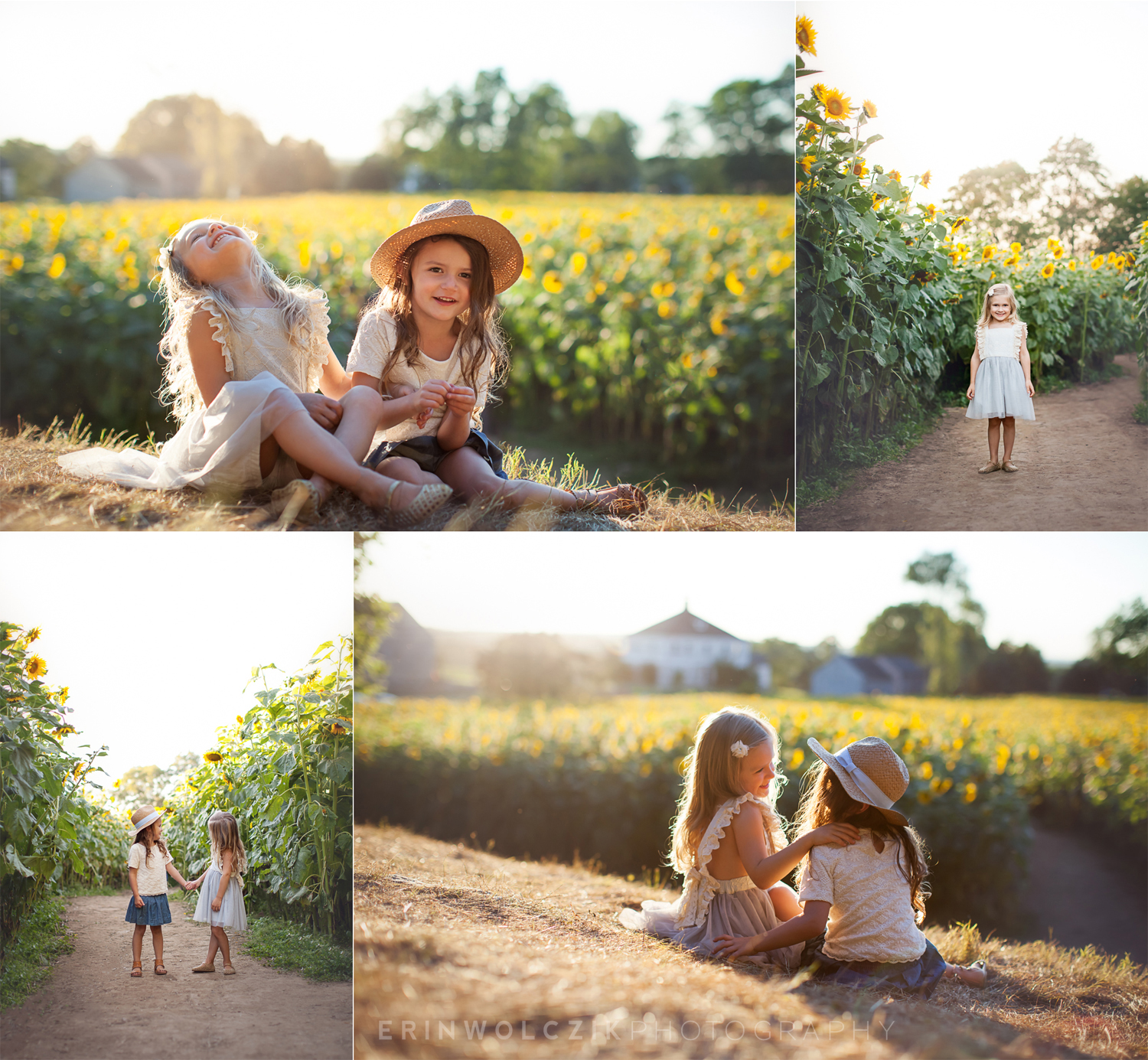 sunflower field at sunset . child photographer . new england