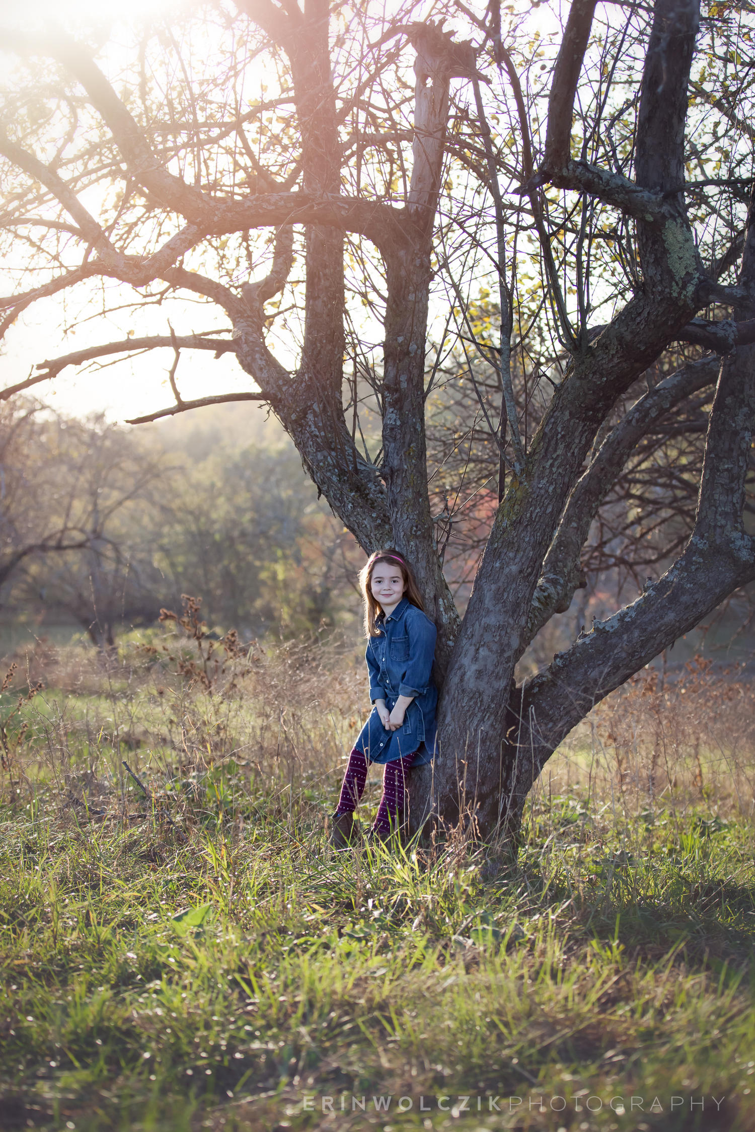 sunset in the orchard . fall child photographer . holliston, ma