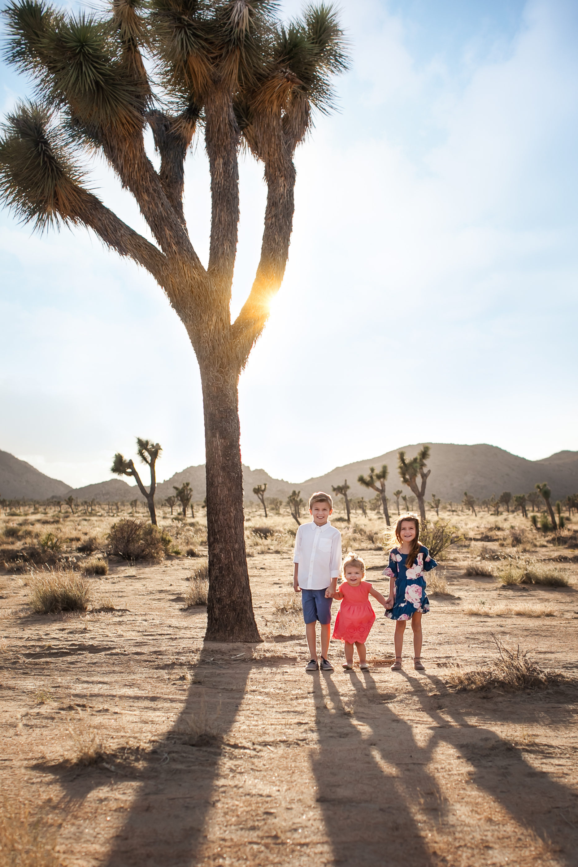 Joshua Tree