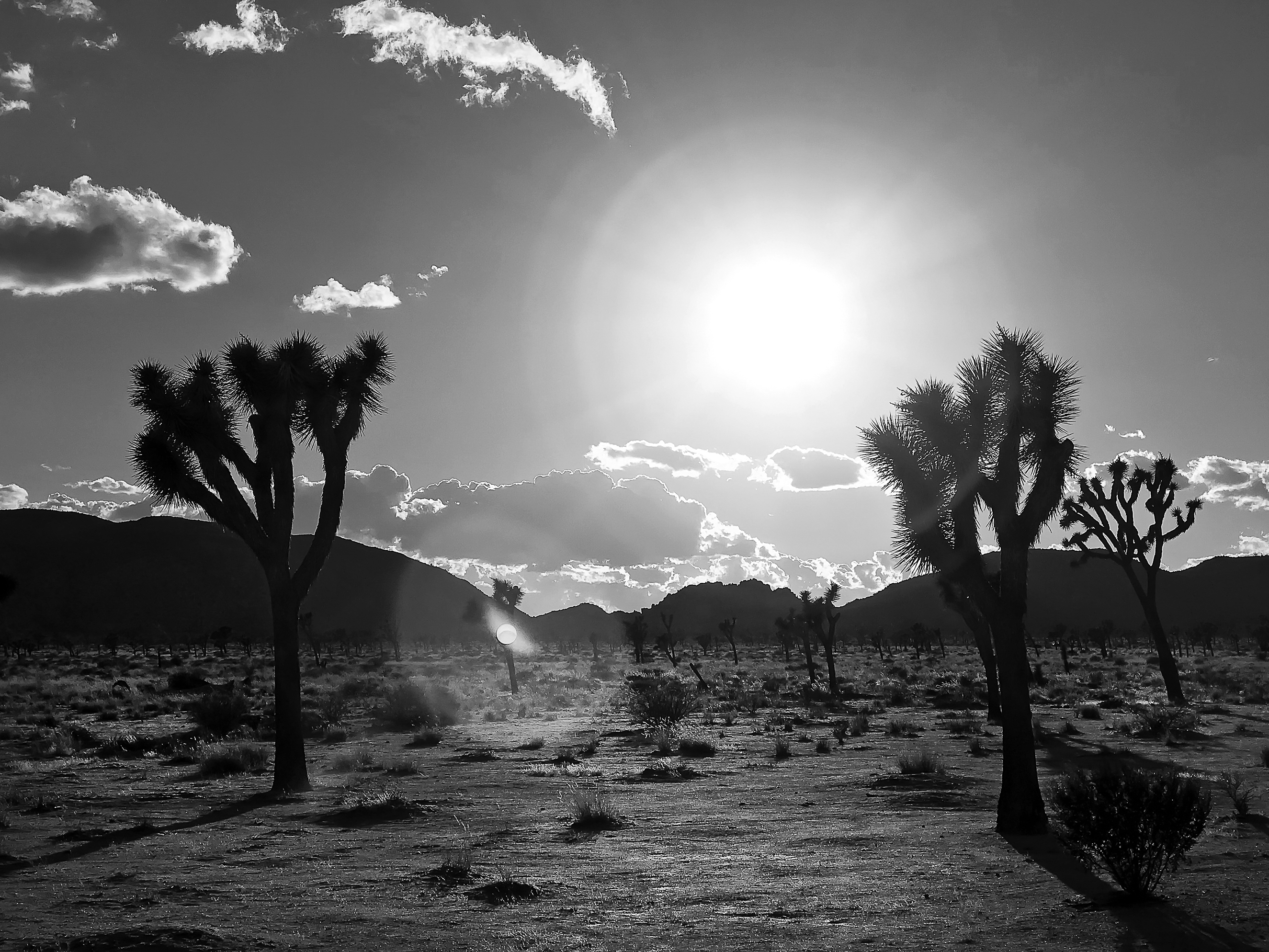 Southwest landscape photography